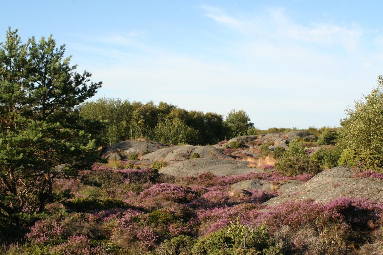 Tofta Gard Orust Эллёс Номер фото